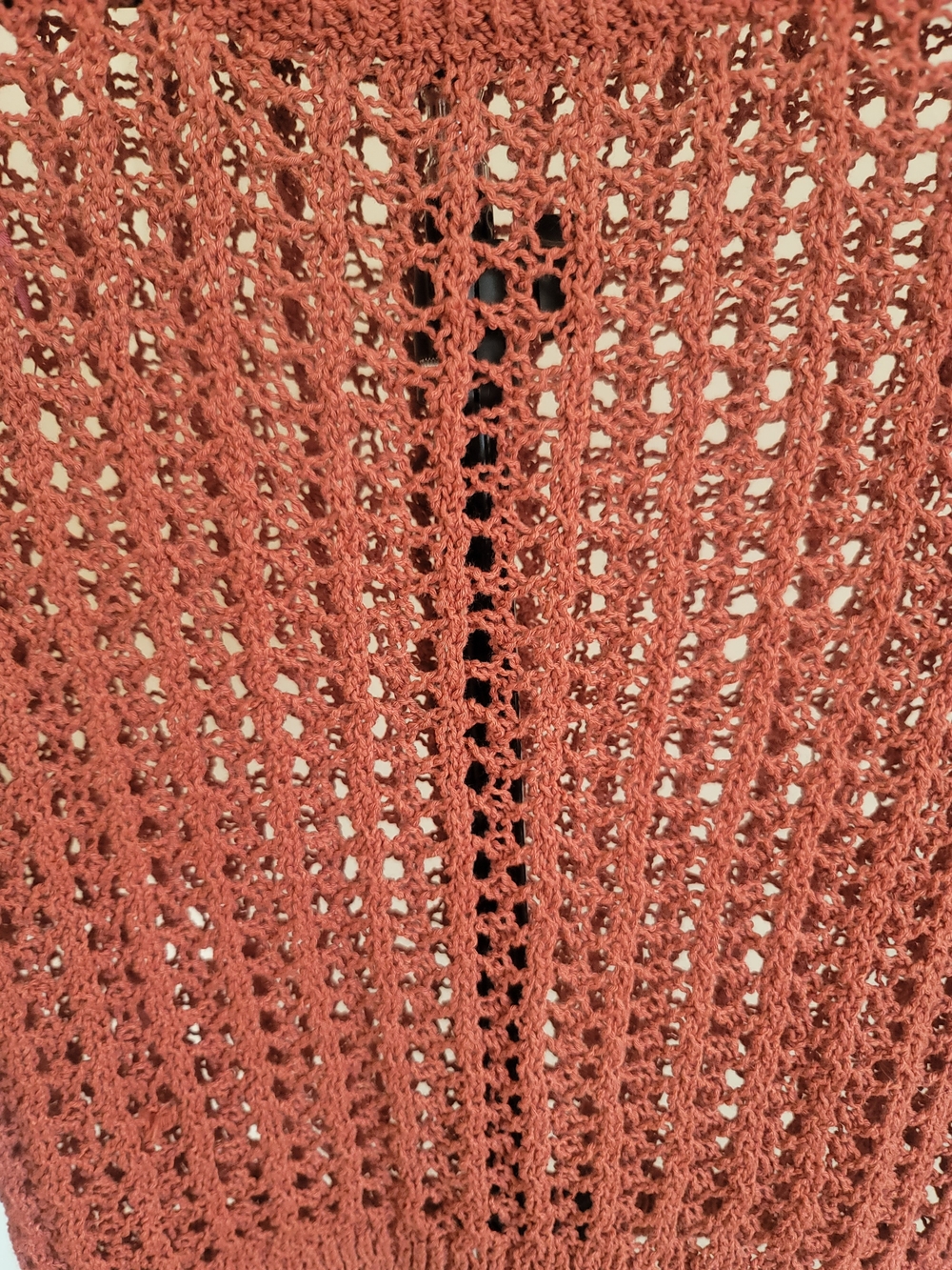 Open-Knit Crop Top — Rust - Picture 2 of 2